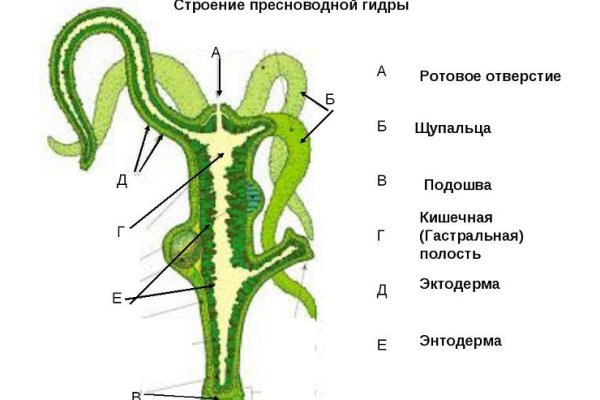 Kraken сайт krakens15 at