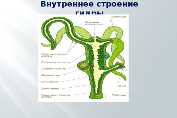 Не зачисляются деньги на кракен