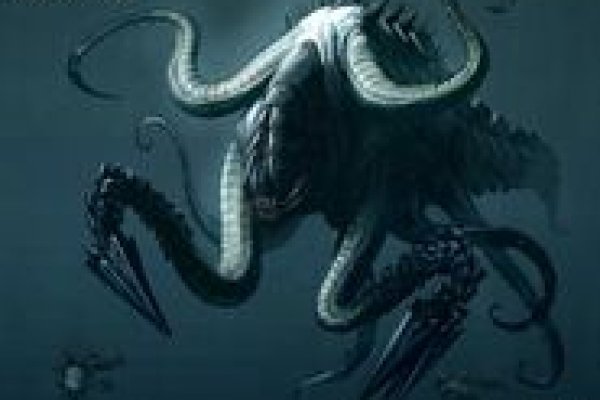 Как вывести деньги с kraken