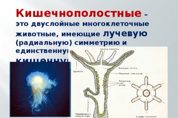 Кракен площадка торговая что это